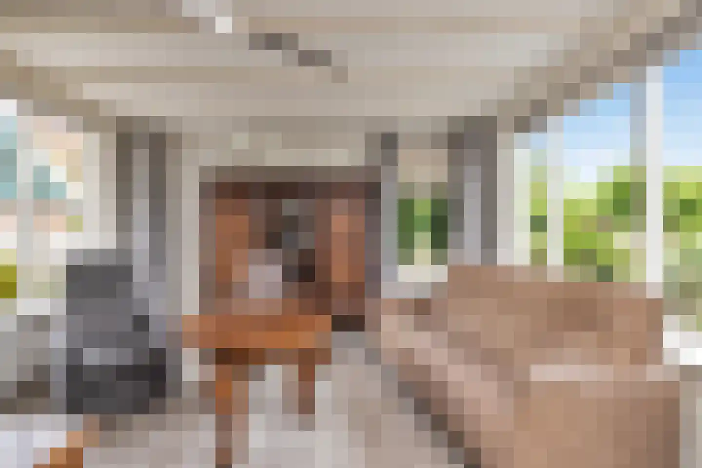 Kreil 4 Barsingerhorn thumbnail 14