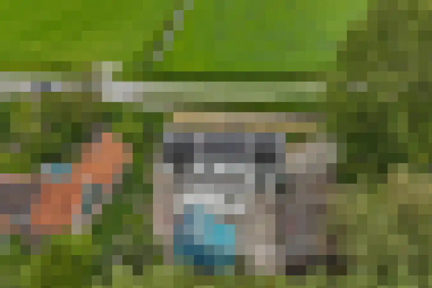 Kreil 4 Barsingerhorn thumbnail 28