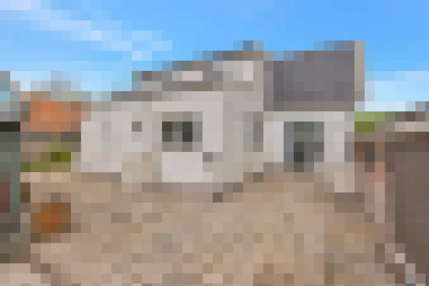 Kreil 4 Barsingerhorn thumbnail 29