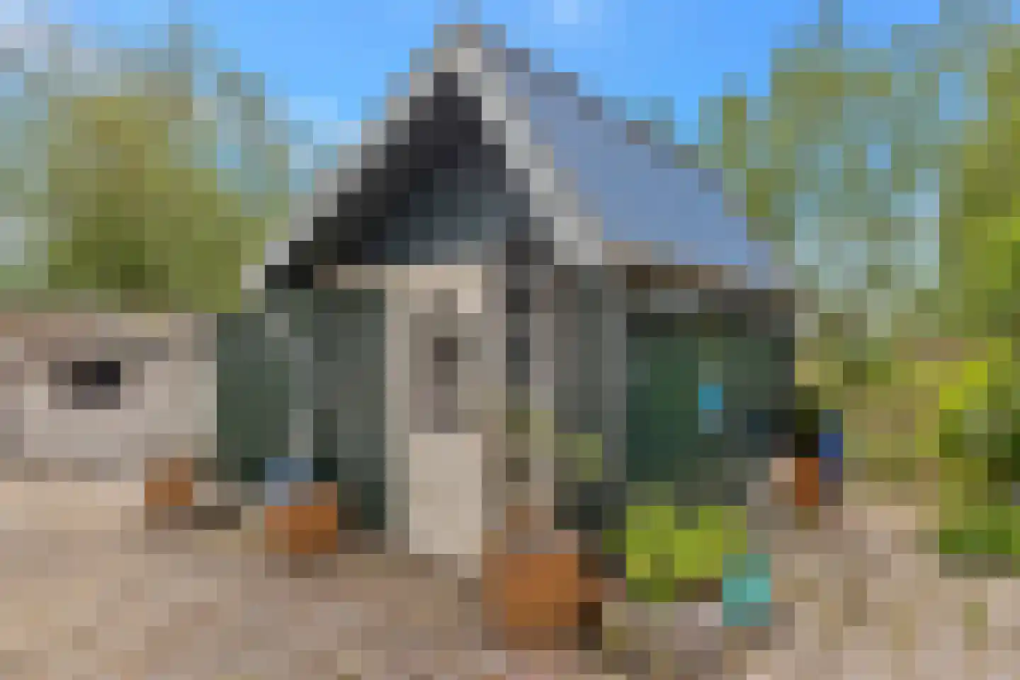 Kreil 4 Barsingerhorn thumbnail 30