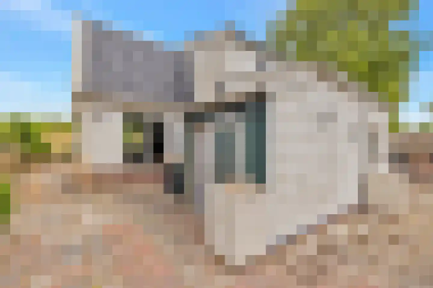 Kreil 4 Barsingerhorn thumbnail 31