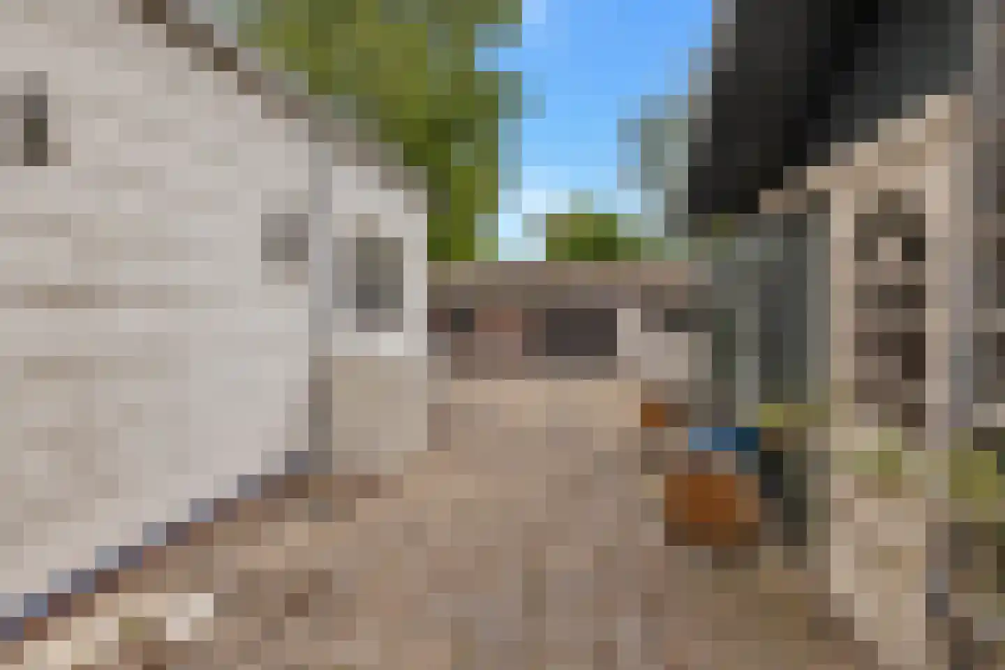 Kreil 4 Barsingerhorn thumbnail 32