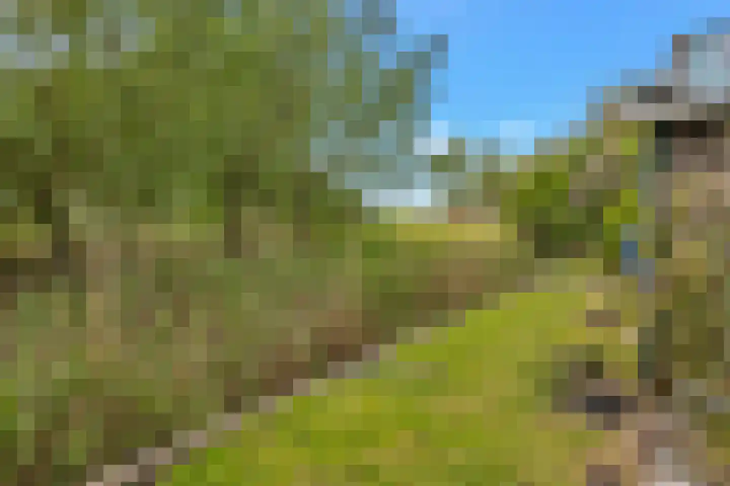 Kreil 4 Barsingerhorn thumbnail 34