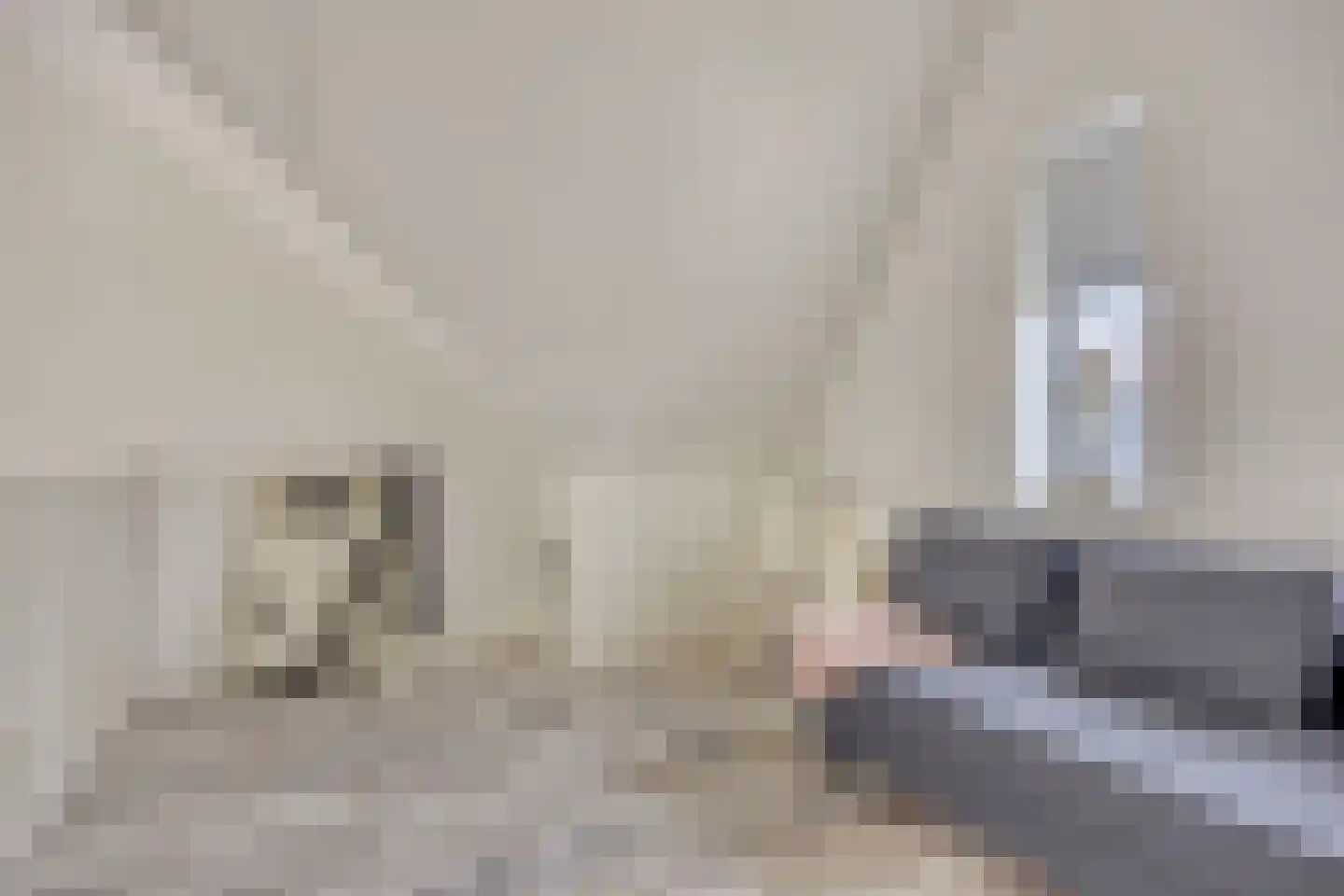 Kreilerhof 14 Nieuw-Vennep thumbnail 31
