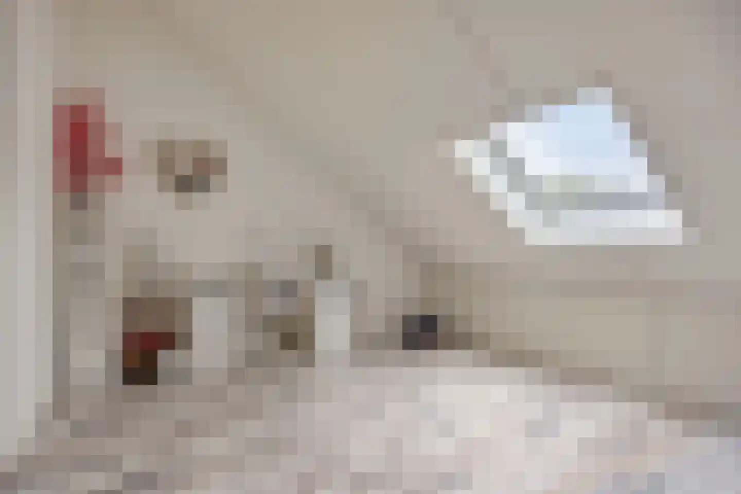 Kreilerhof 14 Nieuw-Vennep thumbnail 32