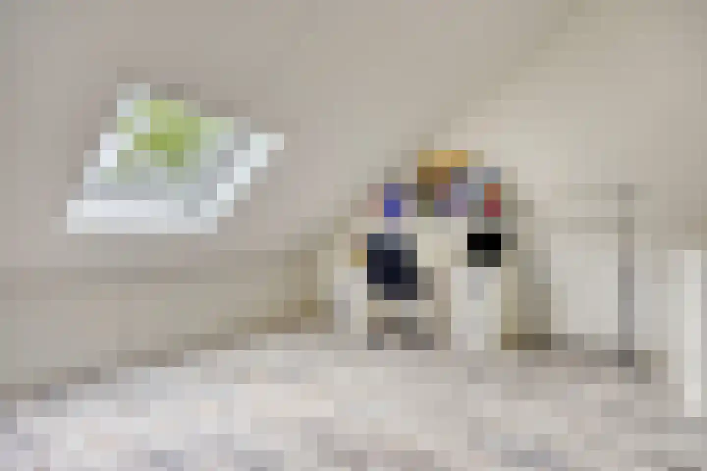Kreilerhof 14 Nieuw-Vennep thumbnail 33