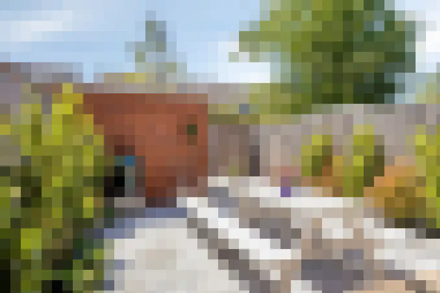 Kreilerhof 14 Nieuw-Vennep thumbnail 36