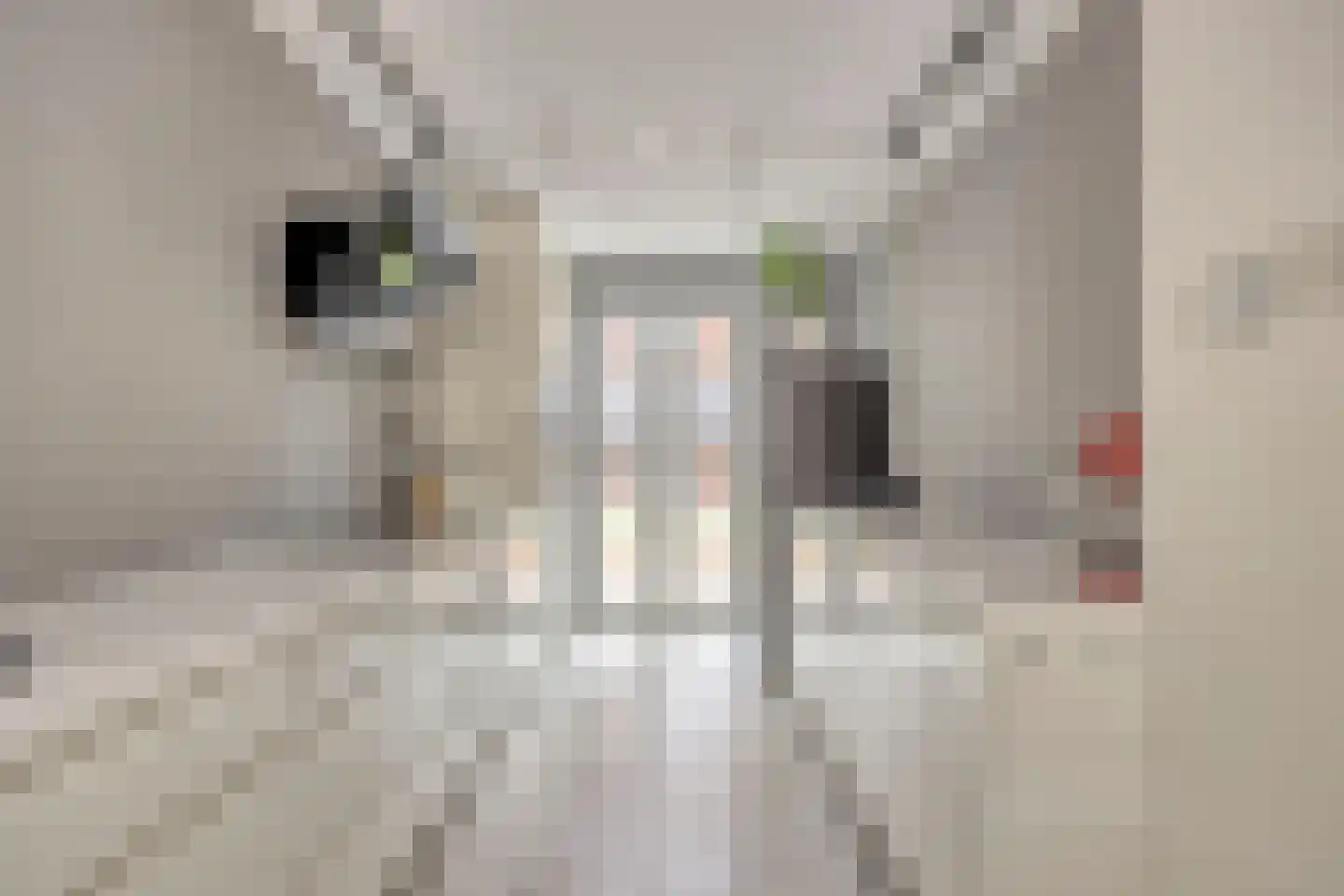 Kreilerhof 14 Nieuw-Vennep thumbnail 9