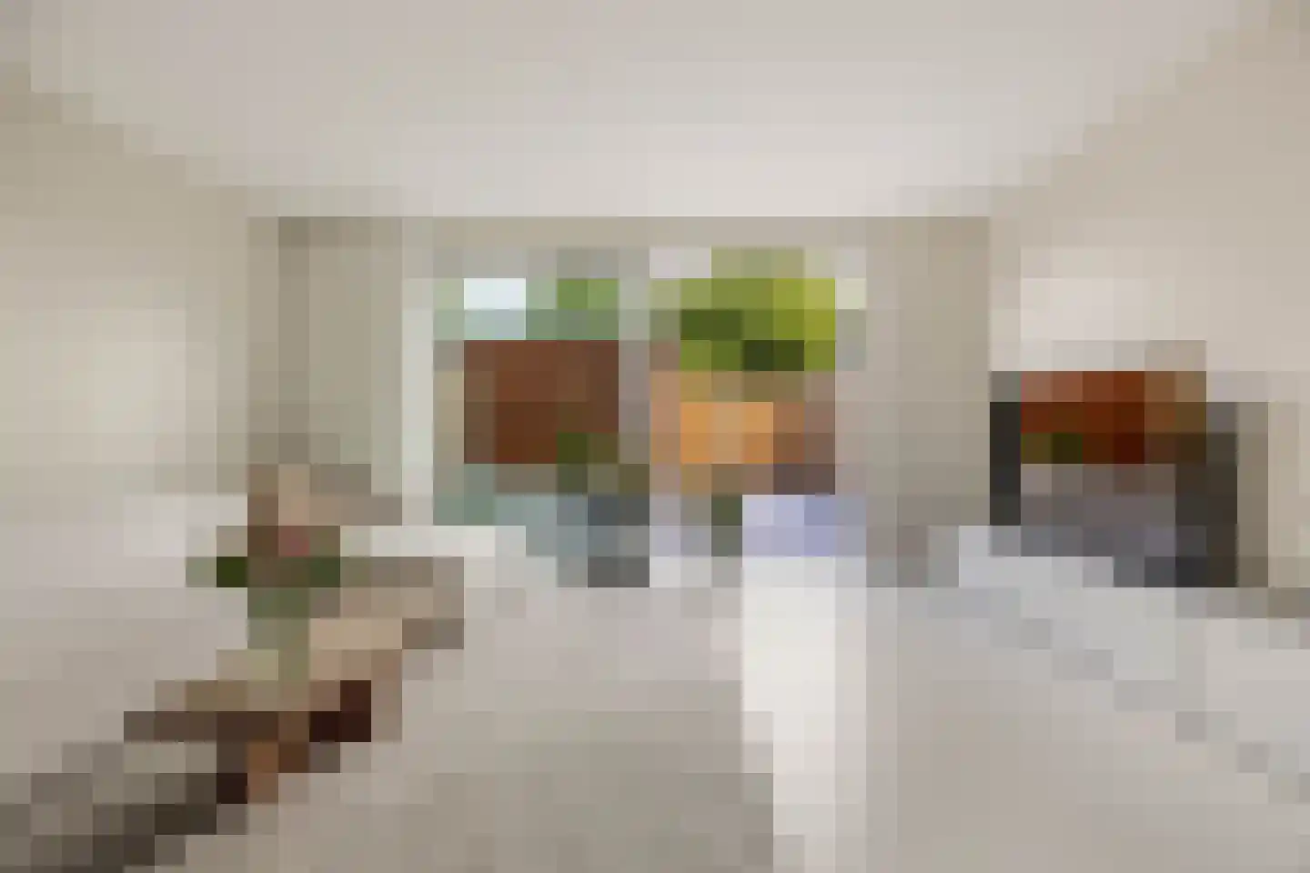Kreilerhof 22 Nieuw-Vennep thumbnail 22
