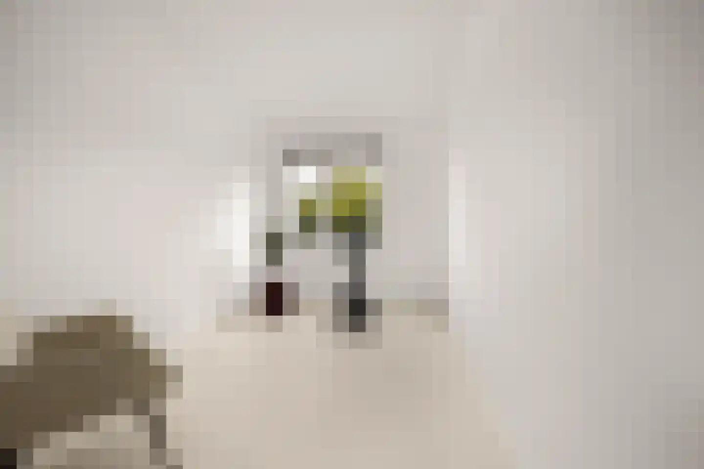 Kreilerhof 22 Nieuw-Vennep thumbnail 31