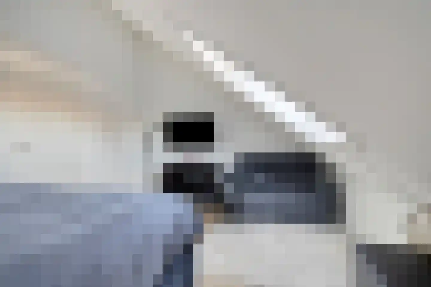 Kreilerhof 32 Nieuw-Vennep thumbnail 28