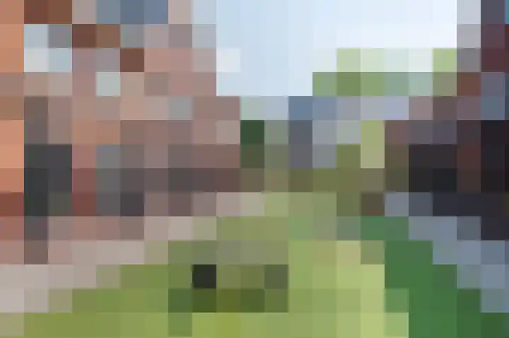 Kreilerhof 40 Nieuw-Vennep thumbnail 37