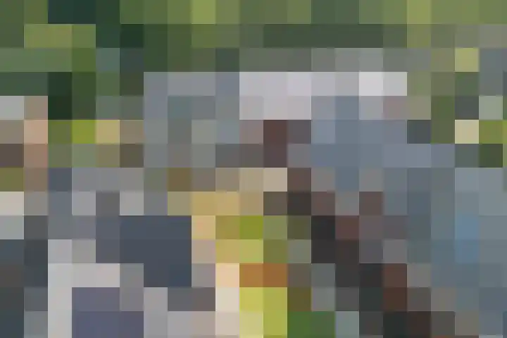 Kreilerhof 40 Nieuw-Vennep thumbnail 6