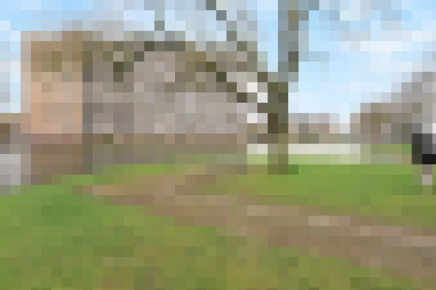Kreileroord 73 Rotterdam thumbnail 13