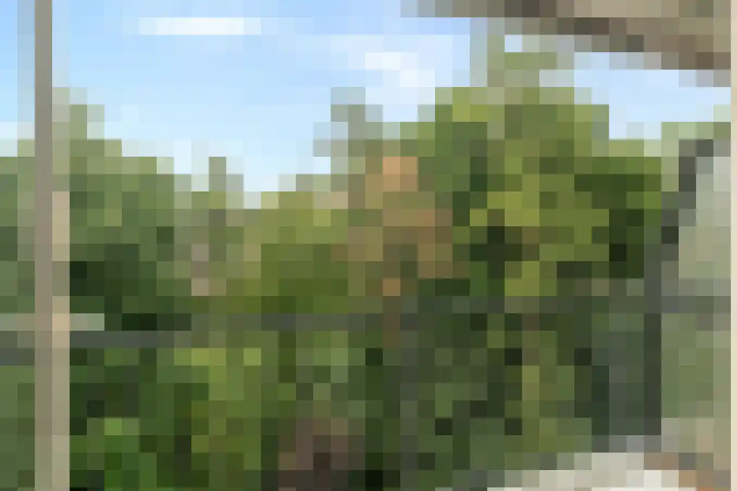 Kreileroord 73 Rotterdam thumbnail 6
