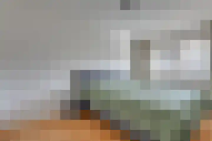 Kreillaan 11 Heerhugowaard thumbnail 28