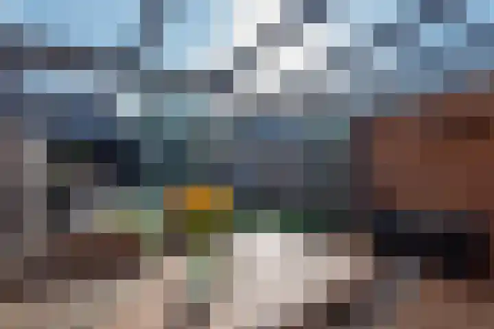 Kreillaan 11 Heerhugowaard thumbnail 38