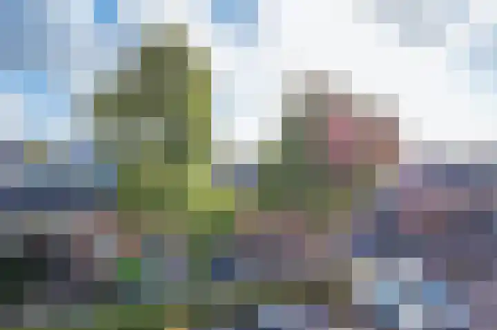 Kreillaan 13 Heerhugowaard thumbnail 35
