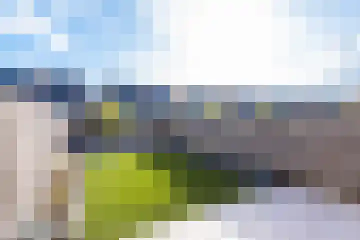 Kreillaan 13 Heerhugowaard thumbnail 6