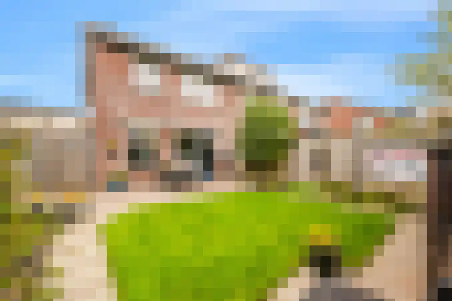 Kreillaan 24 Heerhugowaard thumbnail 18