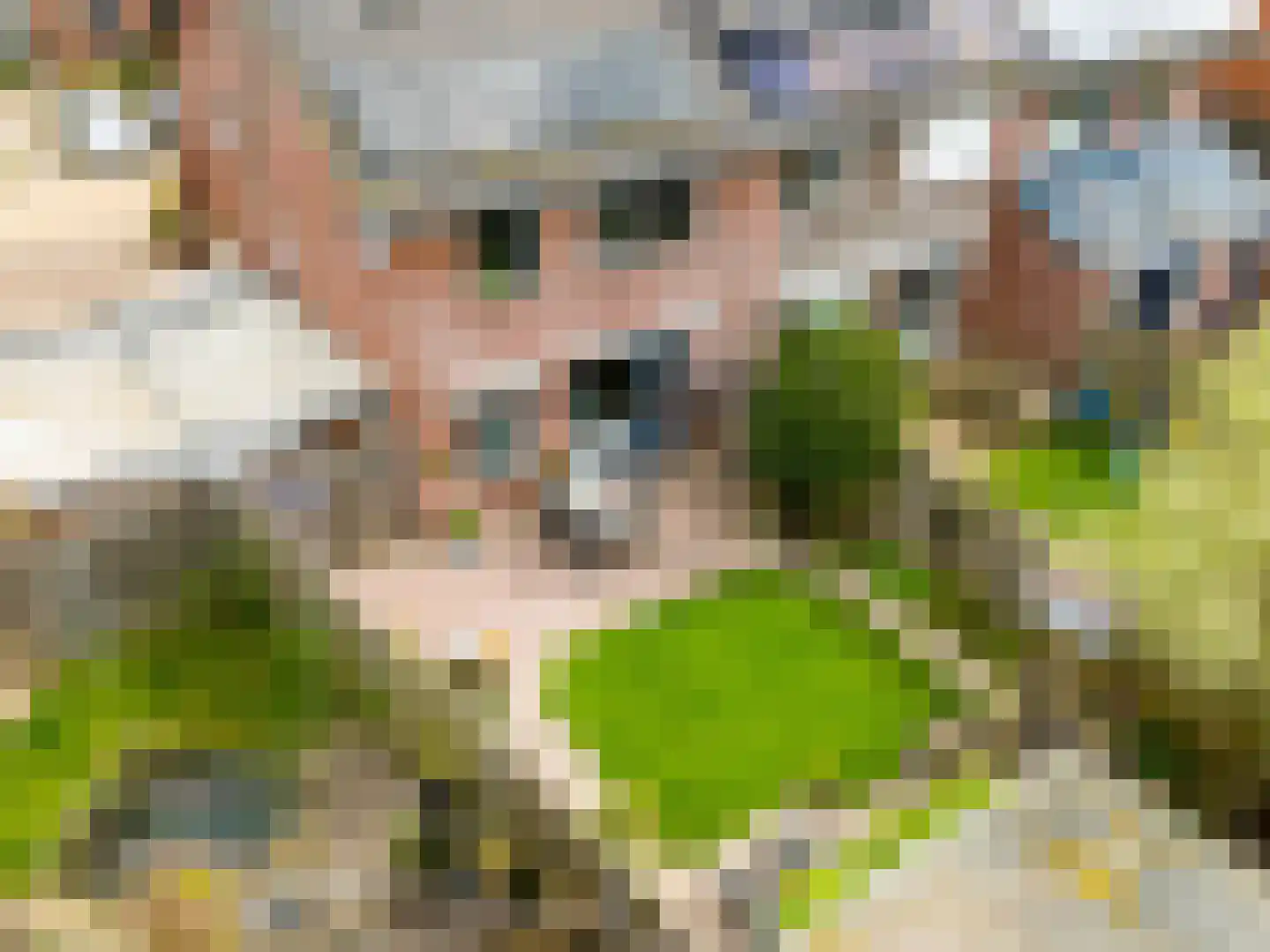 Kreillaan 24 Heerhugowaard thumbnail 35