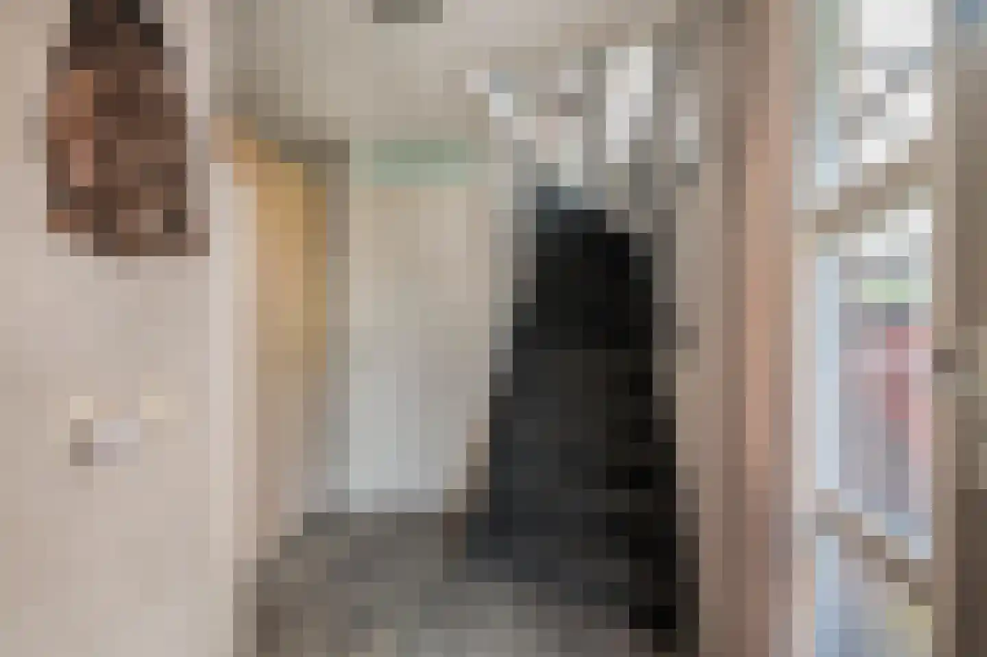 Kreillaan 24 Heerhugowaard thumbnail 6