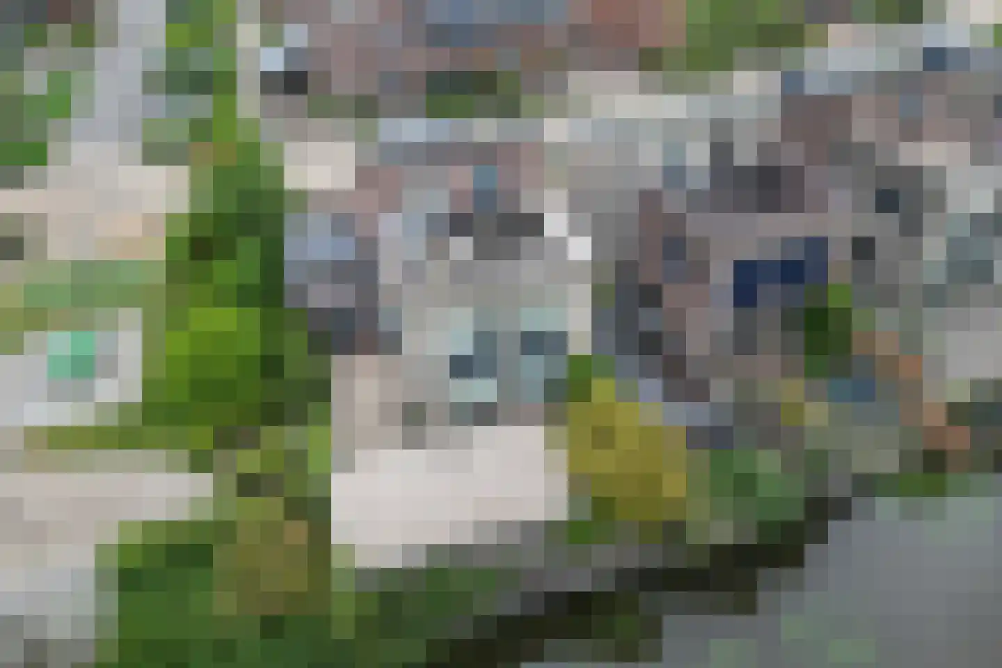 Kreillaan 89 Heerhugowaard thumbnail 4
