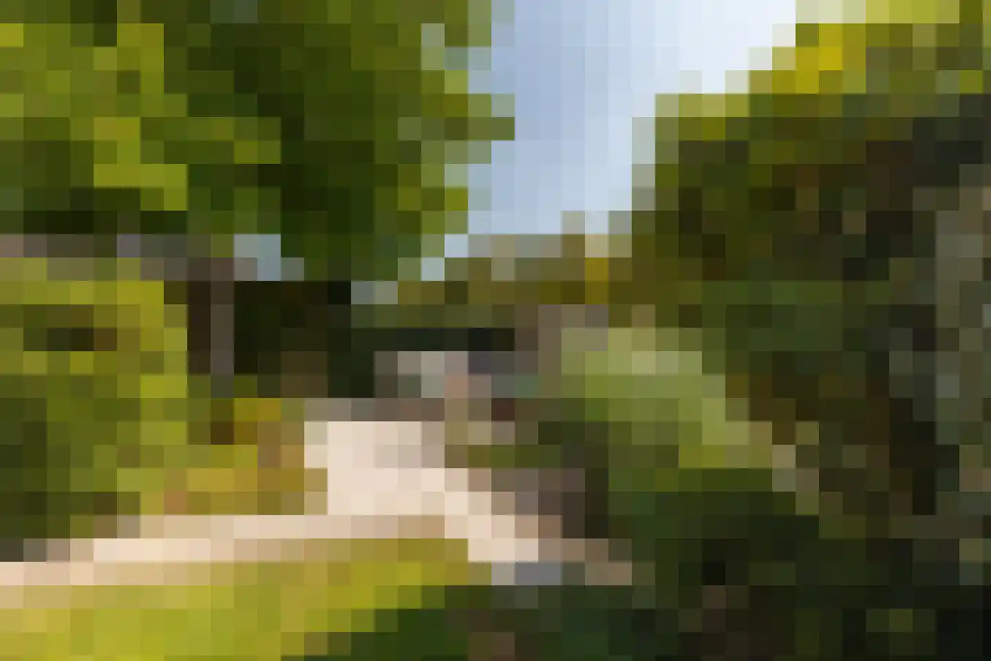 Kreillaan 91 Heerhugowaard thumbnail 42