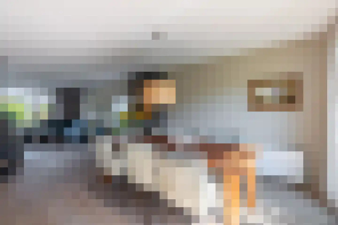 Kreillaan 91 Heerhugowaard thumbnail 8