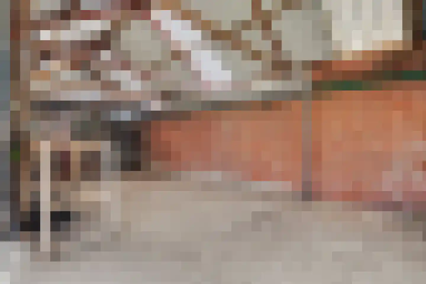 Kreilstraat 1 Winterswijk thumbnail 60