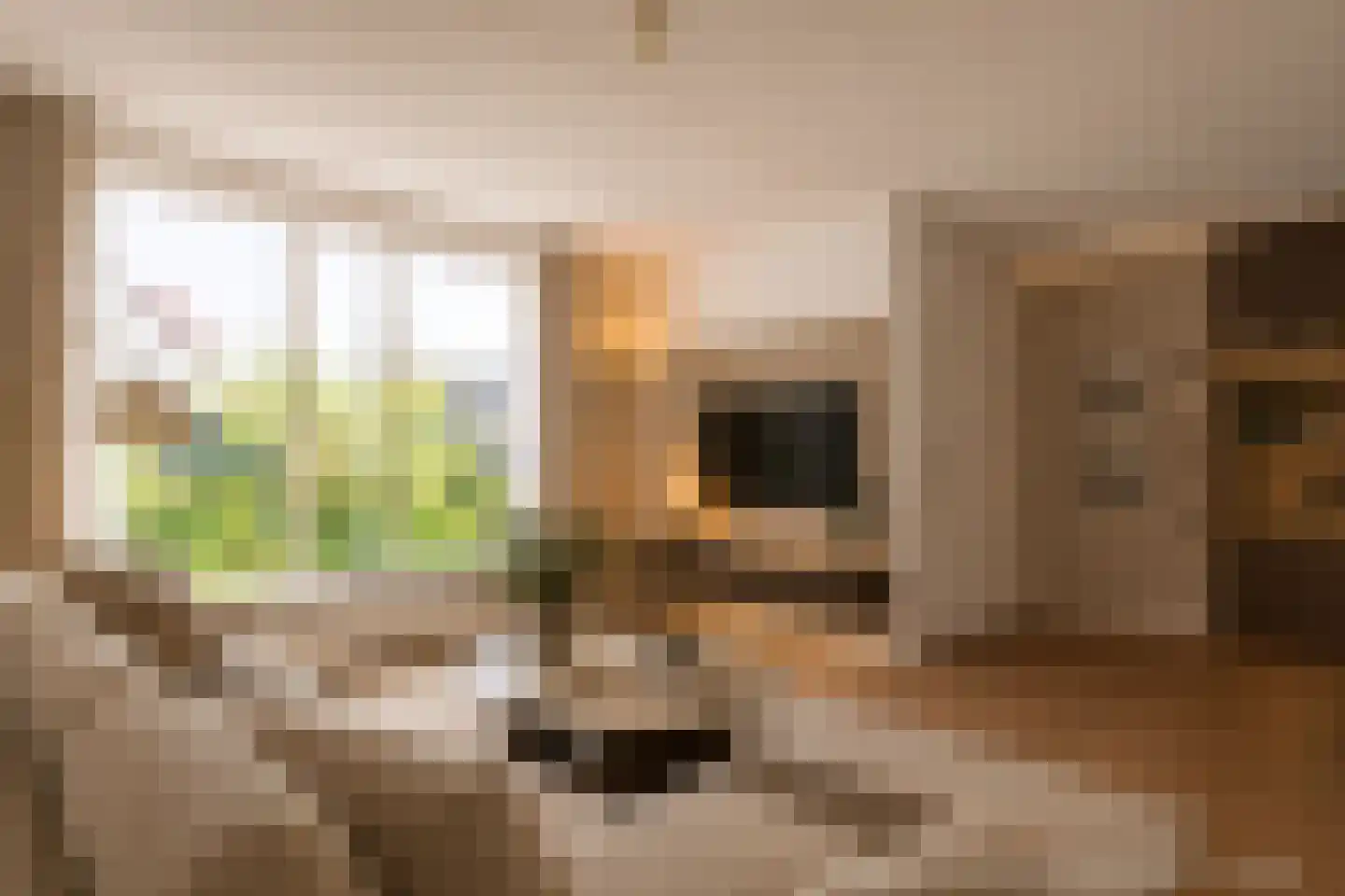 Kreishof 16 Oisterwijk thumbnail 10