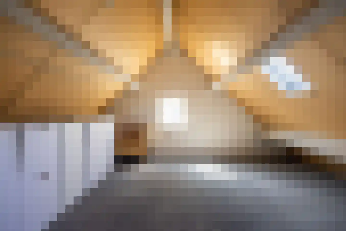 Kreishof 16 Oisterwijk thumbnail 21