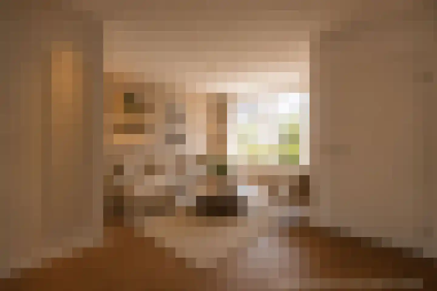 Kreishof 16 Oisterwijk thumbnail 8