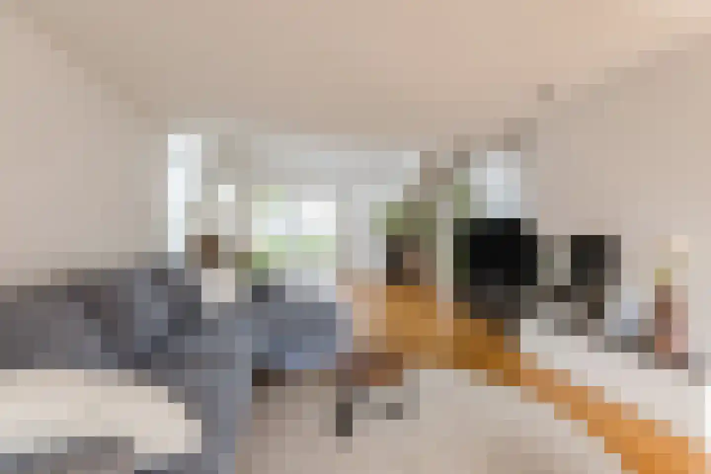 Kreitenborg 19 Zevenbergen thumbnail 11
