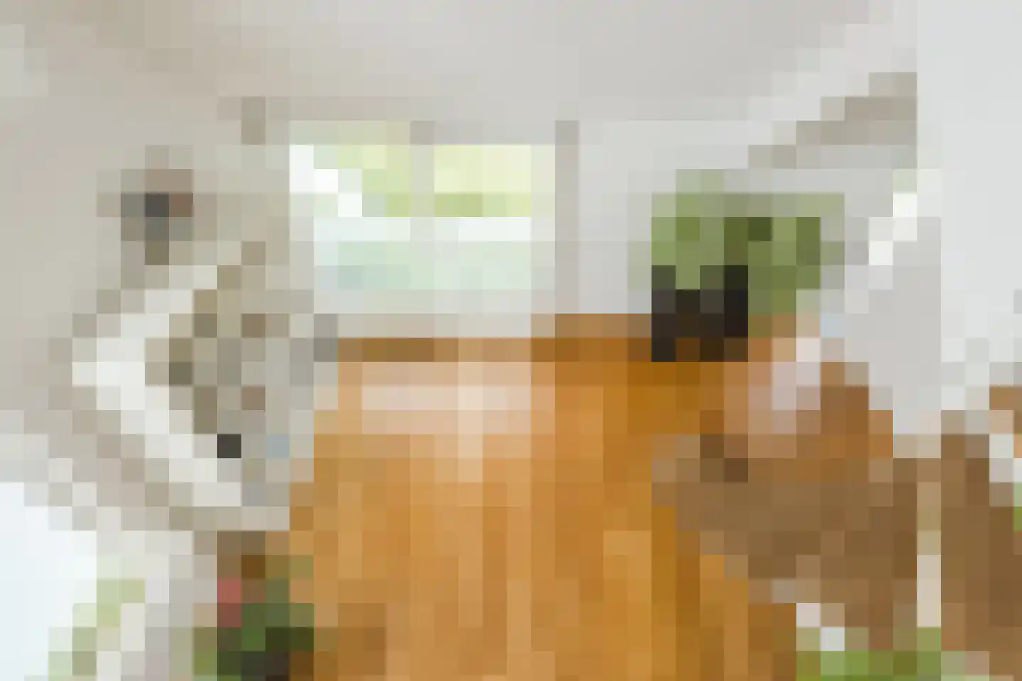 Kreitenborg 19 Zevenbergen thumbnail 31