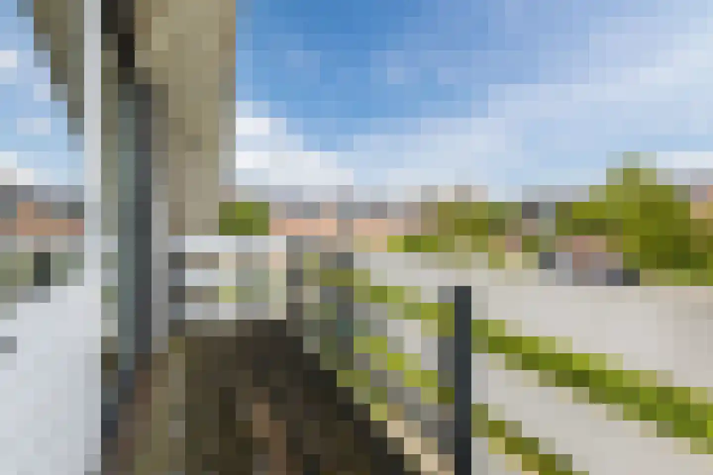 Kreitenborg 19 Zevenbergen thumbnail 41