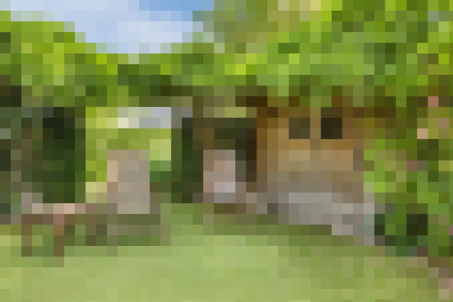 Kreitenborg 19 Zevenbergen thumbnail 42