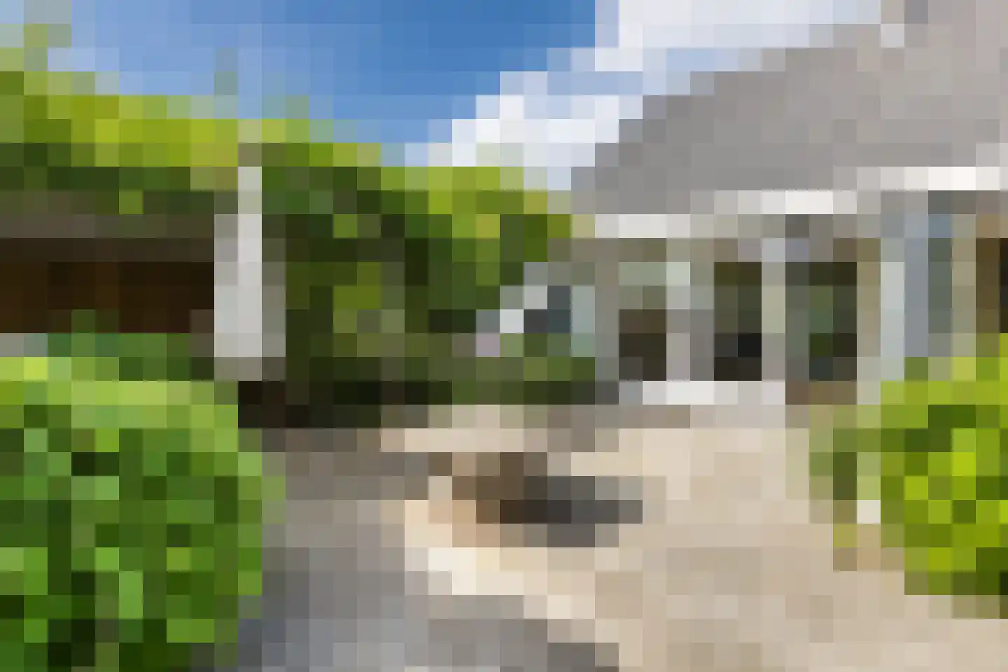 Kreitenborg 19 Zevenbergen thumbnail 46