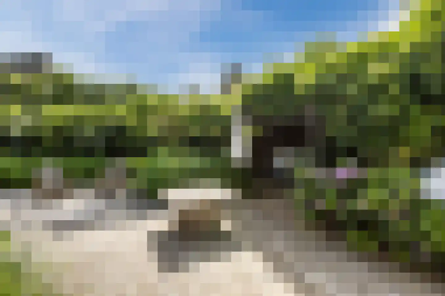 Kreitenborg 19 Zevenbergen thumbnail 47