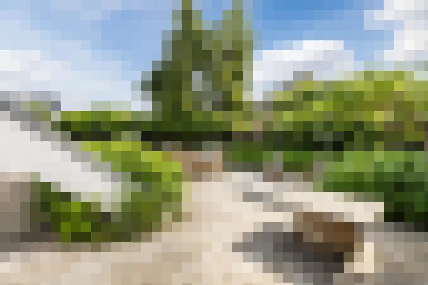 Kreitenborg 19 Zevenbergen thumbnail 48