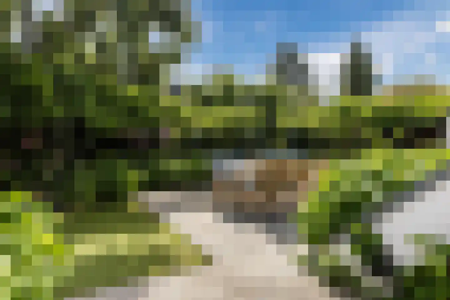 Kreitenborg 19 Zevenbergen thumbnail 6