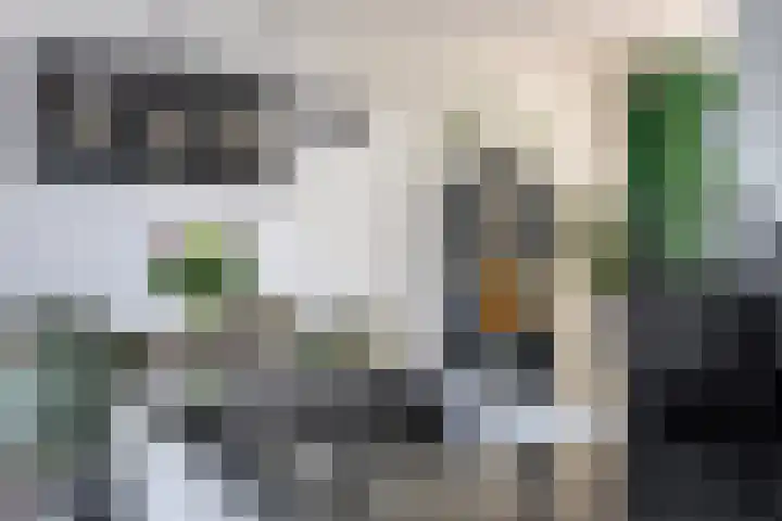 Kreitenborg 68 Zevenbergen thumbnail 20