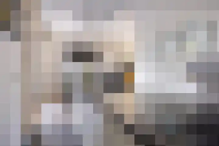 Kreitenborg 68 Zevenbergen thumbnail 23