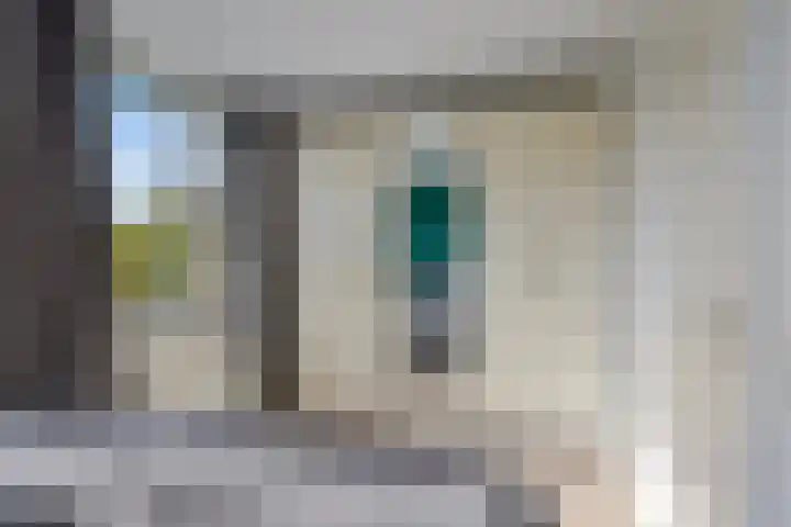 Kreitenborg 68 Zevenbergen thumbnail 27