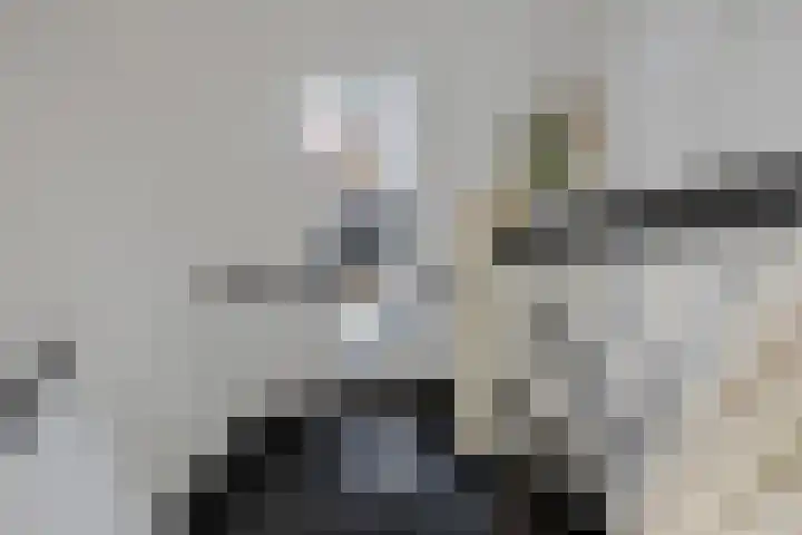 Kreitenborg 68 Zevenbergen thumbnail 33