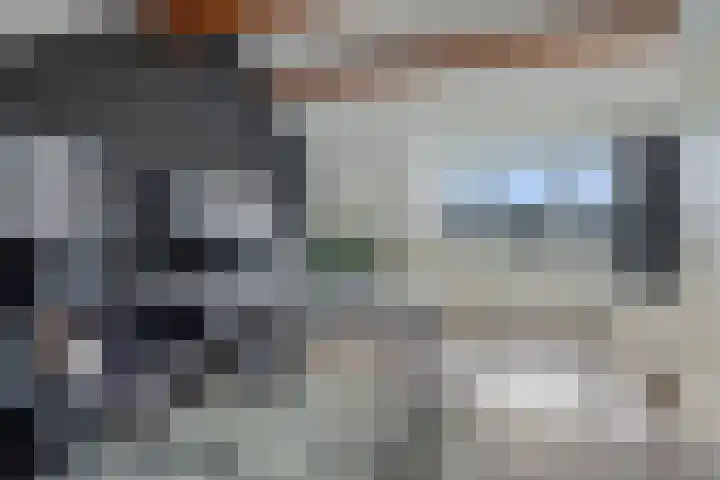 Kreitenborg 68 Zevenbergen thumbnail 35