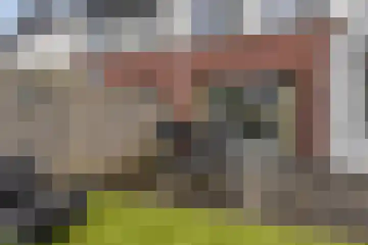 Kreitenborg 68 Zevenbergen thumbnail 36