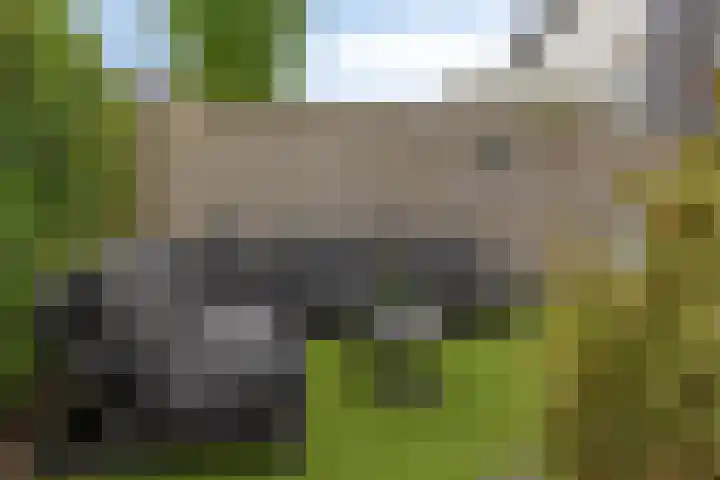 Kreitenborg 68 Zevenbergen thumbnail 38