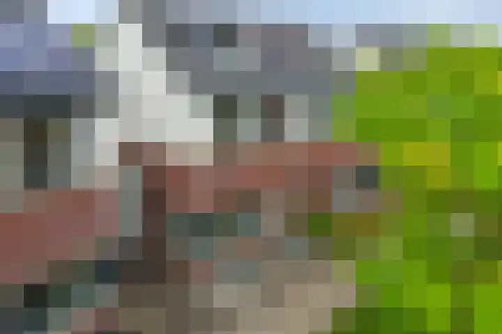 Kreitenborg 68 Zevenbergen thumbnail 4