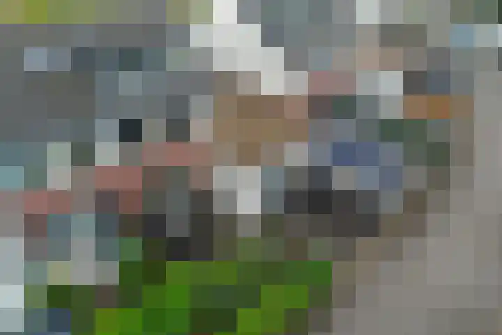 Kreitenborg 68 Zevenbergen thumbnail 45
